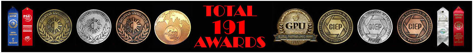 CIEP Awards